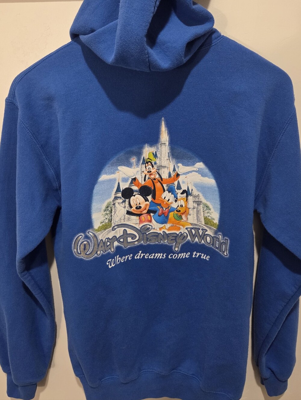 Walt Disney World Hoodie Small Blue Mickey Donald Goofy Pluto Full Zip